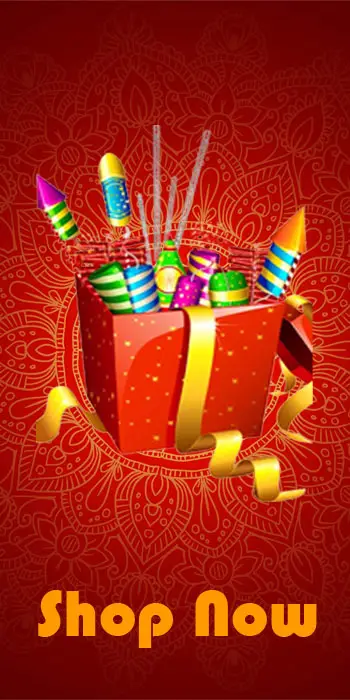 fireworks factory in sivakasi
